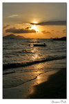 img10d_4045