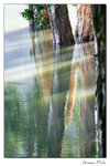 img10b_9377