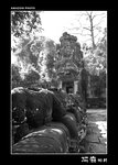 img5d1_9613