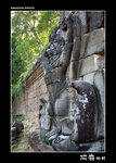 img5d1_9614
