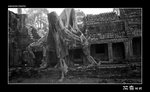 img5d1_9627