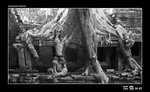 img5d1_9632