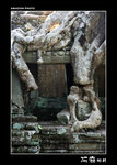img5d1_9633