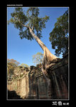img5d1_9645