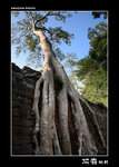 img5d1_9726