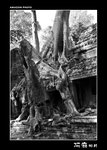 img5d1_9755b