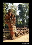 img5d1_9762