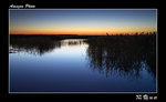 img5d2_4346