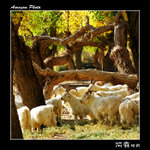 img5d2_4784