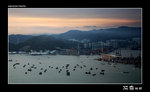 img5d1_8279