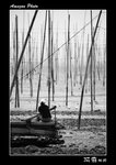 img5d2_5390