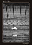 img5d2_5924