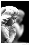 img10b_8203