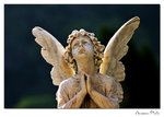 img10b_8223