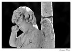 img10b_8226