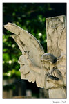 img10b_8230