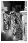 img10b_8231