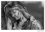 img10b_8235