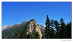 img10a_8736