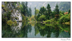img10a_9191