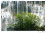 img10a_9331