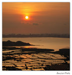 img5d1_6933