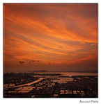 img5d1_6977