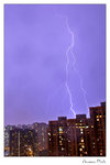 img10d_5499