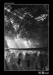 img5d2_2239