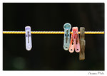 img10a_3878