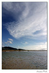 img10d_4933