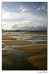 img10d_4977