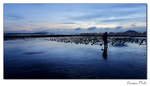 img10d_5027