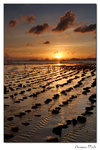img10d_5290