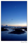 img10d_5316