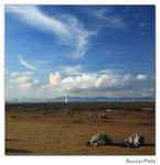 img5d1_7870