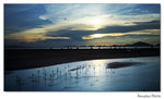 img5d1_7895