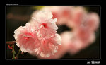 img5d2_1740