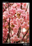 img5d2_1748