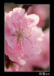 img5d2_1805