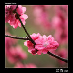 img5d2_1834