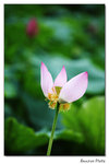 img5d1_6452