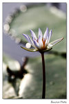 img5d1_6484