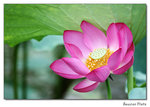 img5d1_6513