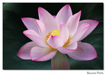 img5d1_6558