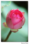 img5d1_6561