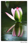 img5d1_6715