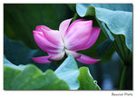 img5d1_6747