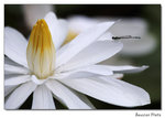 img5d1_6765