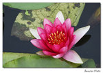 img5d1_6780